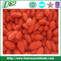 2015 Continued hot frozen goji berries new price